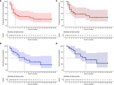 Efficacy and safety of belantamab-mafodotin in triple-refractory multiple myeloma patients: A multicentric real-life experience